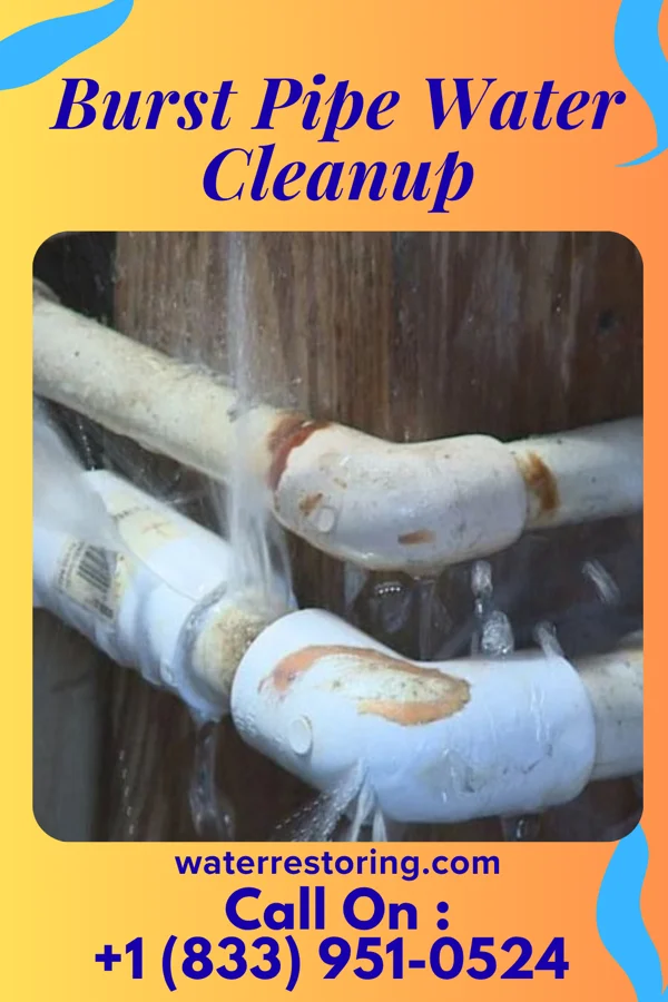 Burst Pipe Water Cleanup in Emerald Isle, NC
