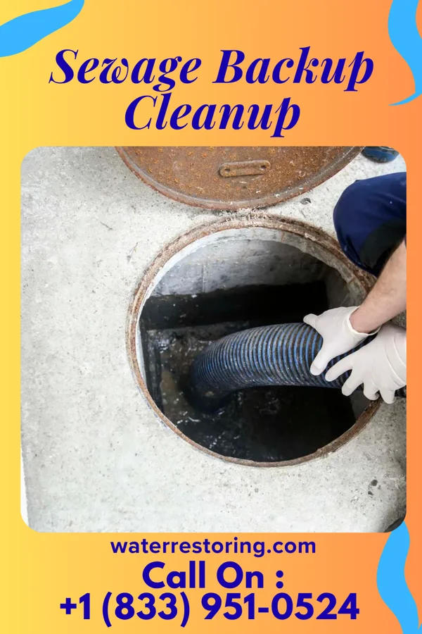 Sewage Backup Cleanup in Emerald Isle, NC