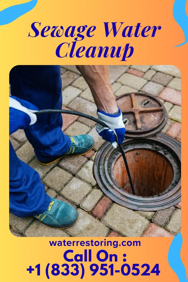 Sewage Water Cleanup in Emerald Isle, NC