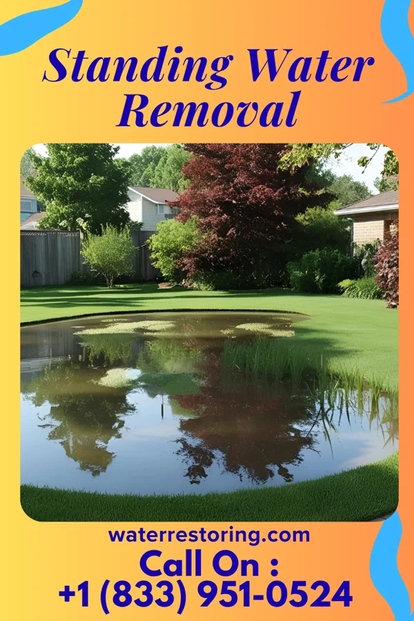 Standing Water Removal in Emerald Isle, NC